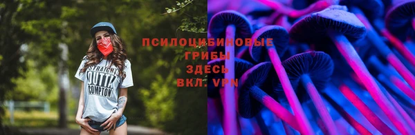 дурь Елизово
