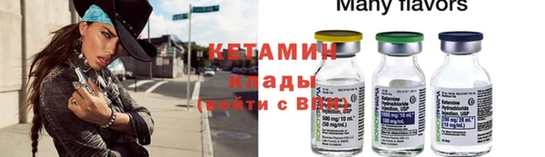 сатива Инта