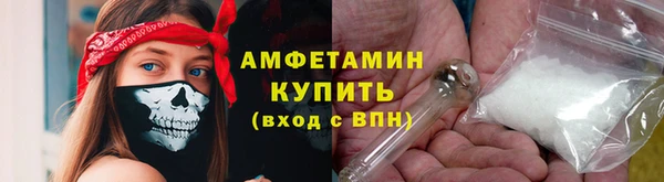 сатива Инта