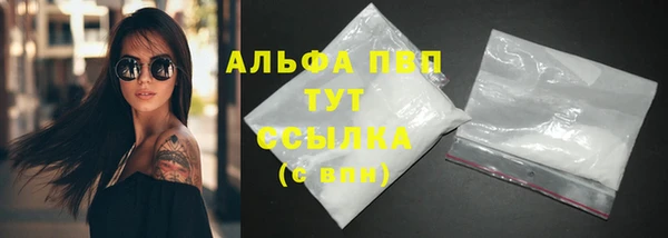 дурь Ельня