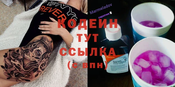 сатива Инта