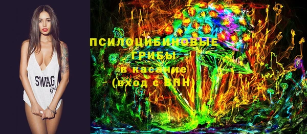 хмурый Инсар